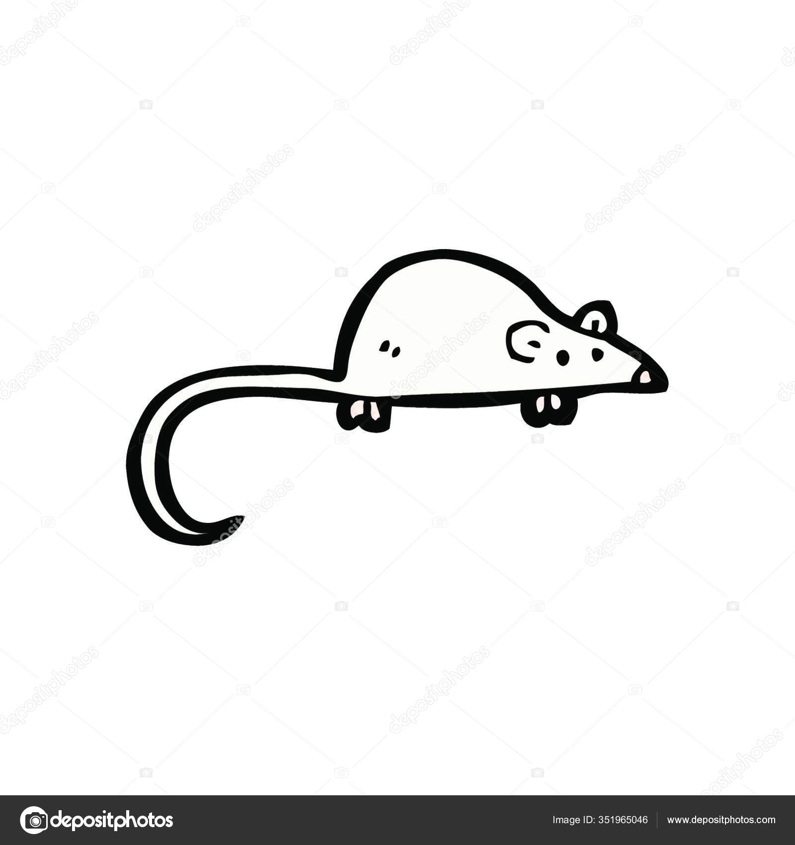Ratto di fogna Foto Stock, Ratto di fogna Immagini | Depositphotos