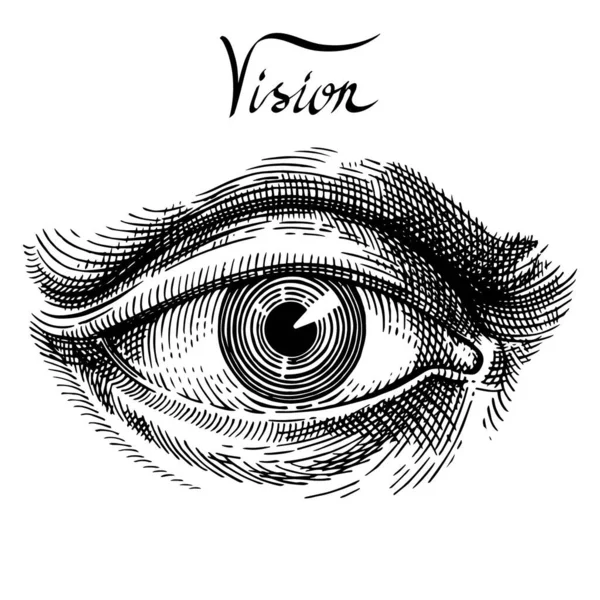 Глаз Гравировка Винтажном Стиле Классический Винтажный Стиль Ручная Иллюстрация Рисунка — стоковый вектор