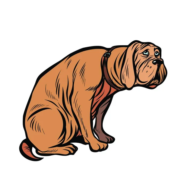 Виновная Собака Смешное Животное Винтажный Китч Ретро Вектором Поп Арта — стоковый вектор