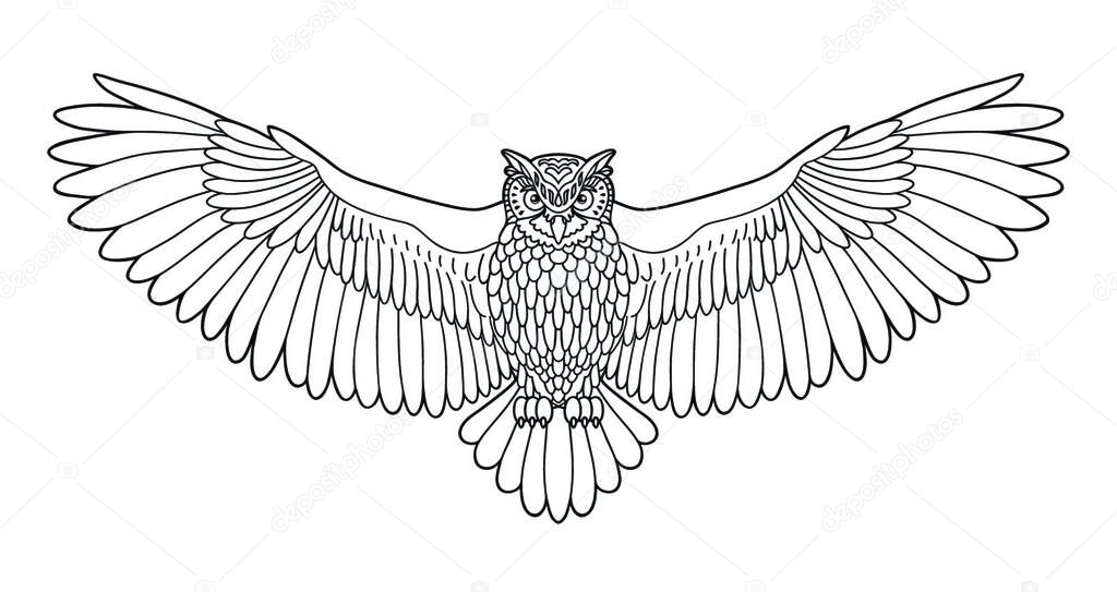 Owl. Eagle owl outline emblem. Black white hand drawn doodle. Icon design on white background. Vector line icon