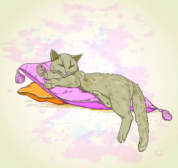Vector Background Cat Pillow — Stock Vector