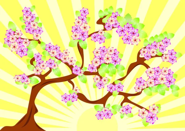 Tarjeta Primavera Con Sakura Ilustración Vectorial Fondo Flor — Vector de stock