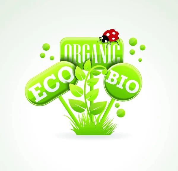Jasně Zelená Etiketa Listy Pro Ekologické Přírodní Ekologické Nebo Bio — Stockový vektor