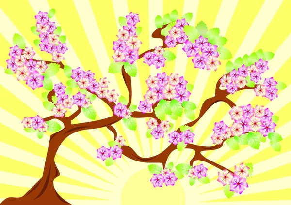 Tarjeta Primavera Con Sakura Ilustración Vectorial Fondo Flor — Archivo Imágenes Vectoriales