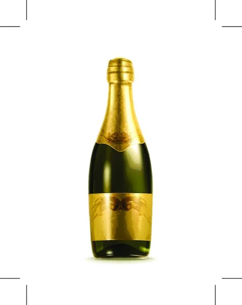 Champagne Bottiglia Vettore Illustrazione — Vettoriale Stock
