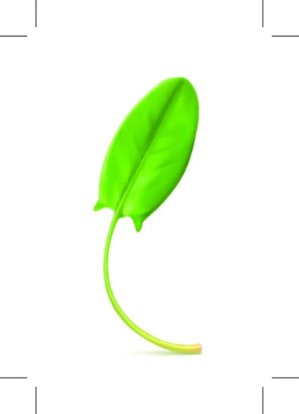 Aranha Folha Verde Fresca Ilustração Vetorial — Vetor de Stock