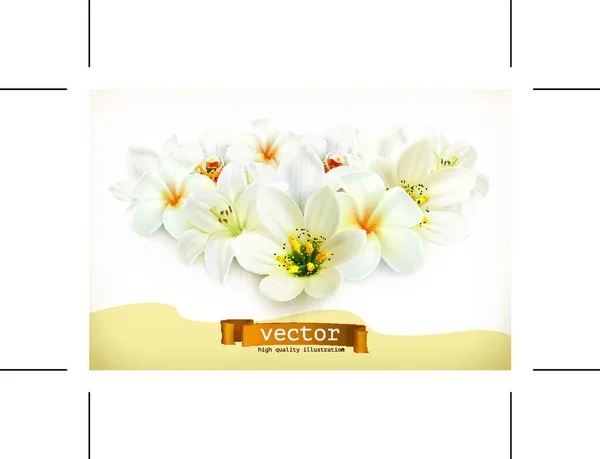 Strauß Weißer Blumen Vektorillustration — Stockvektor