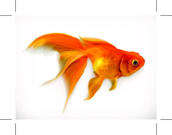 Goldfish Ilustração Vetorial Realista — Vetor de Stock