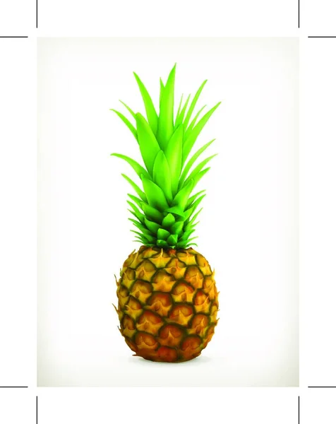 Ananas Tropik Yaz Meyvesi — Stok Vektör