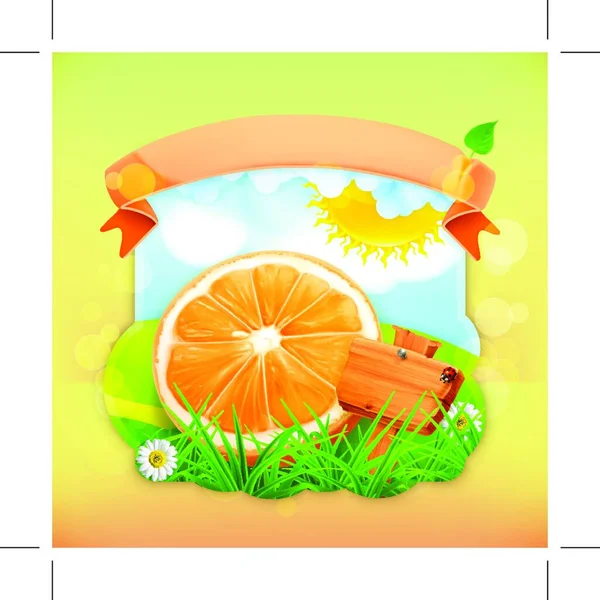 Frische Früchte Etikett Orange Vektor Illustration Hintergrund Für Die Gestaltung — Stockvektor