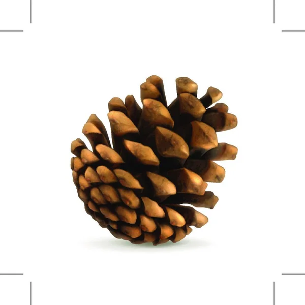 Pine Cone Vector Illustration — Stock Vector