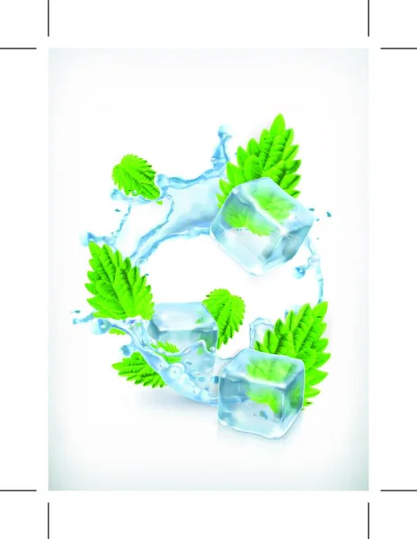 Minze Mit Eiswürfeln Und Wasserspritzer Vektorsymbol — Stockvektor