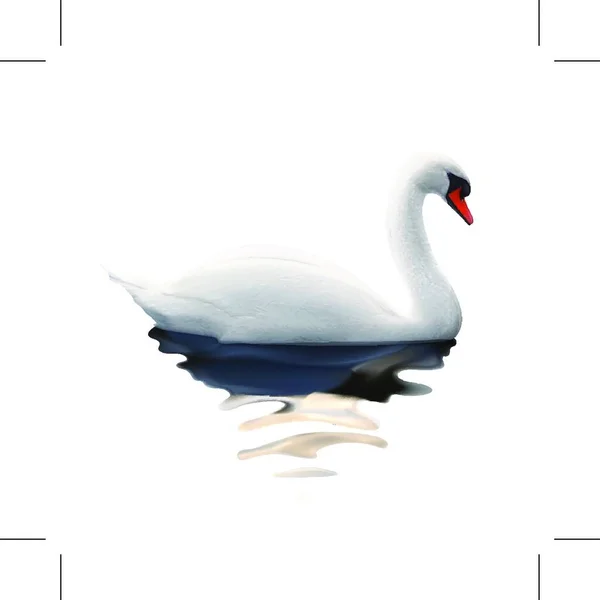 Swan Isolated White Background Vector Illustration — Stock Vector