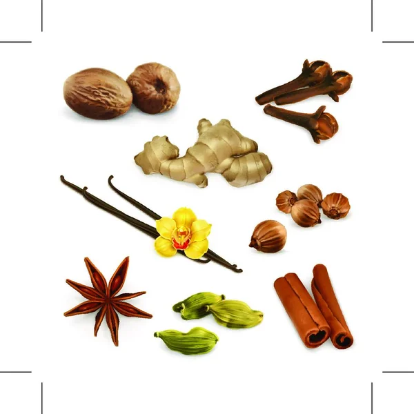 Spices Vector Icons Set — Stock Vector