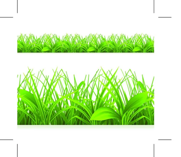 Frühlingsgrünes Gras Nahtlose Grenze Detaillierte Vektorillustration — Stockvektor