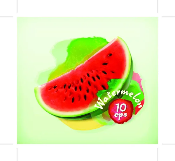 Watermelon Summer Fruit Vector Illustration — Stock Vector