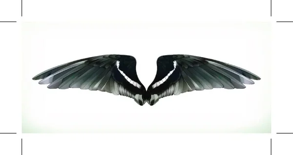 白い背景に孤立した翼ベクトル図 — ストックベクタ