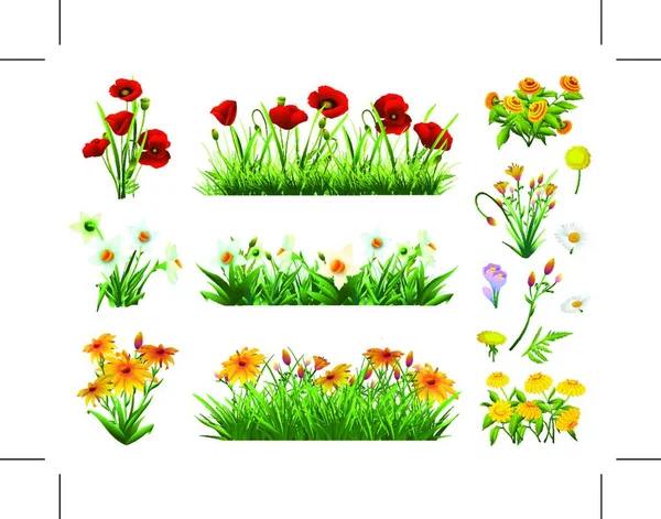 ベクトル要素の花と草のセット 自然と生態 — ストックベクタ
