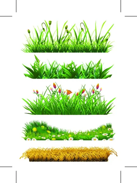 ベクトル要素の草集合 新鮮な草だ 自然と生態 — ストックベクタ