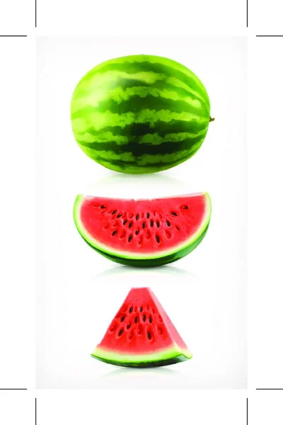 Watermeloen Vectoriconen Ingesteld — Stockvector