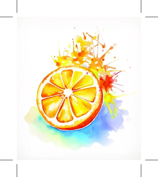 Pintura Acuarela Naranja Jugosa Ilustración Vectorial Aislada Sobre Fondo Blanco — Vector de stock