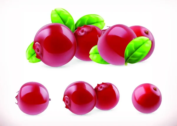 Lingonberry Fruta Doce Cowberry Bagas Floresta Conjunto Ícones Vetoriais Ilustração — Vetor de Stock