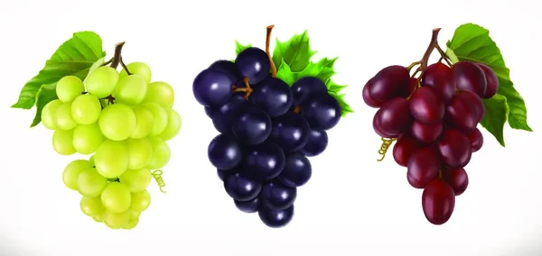Uvas Mesa Vermelhas Brancas Uvas Vinho Frutas Frescas Conjunto Ícones — Vetor de Stock