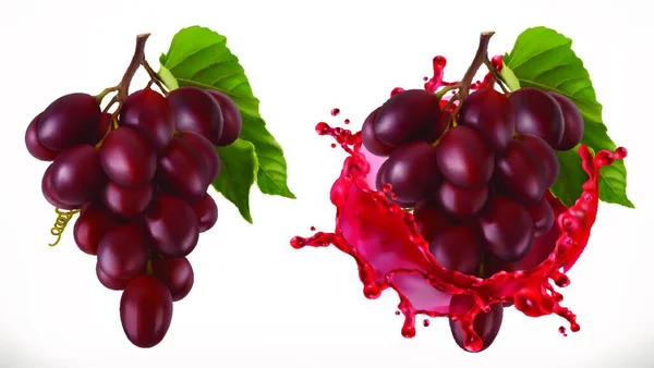 红酒飞溅和葡萄 新鲜水果3D矢量图标 — 图库矢量图片
