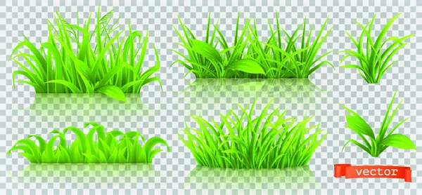 Våren Grönt Gräs Realistisk Vektor Ikon Set — Stock vektor