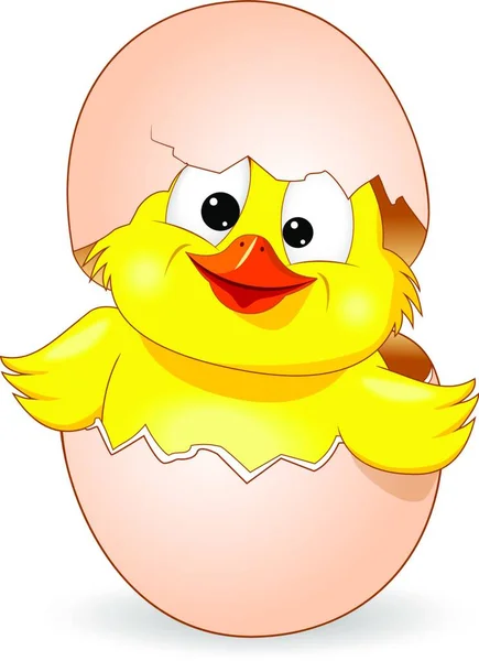 白い背景に小さな黄色の鶏 漫画の女は卵の殻からのぞき見 — ストックベクタ
