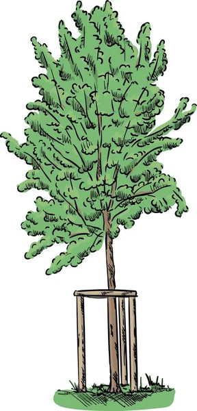 Vector Pequeño Árbol Joven Aislado Fondo — Vector de stock