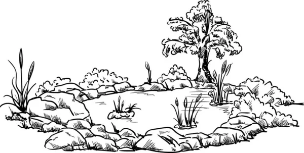 Вектор Маленький Садовый Пруд Изолированный Заднем Плане — стоковый вектор