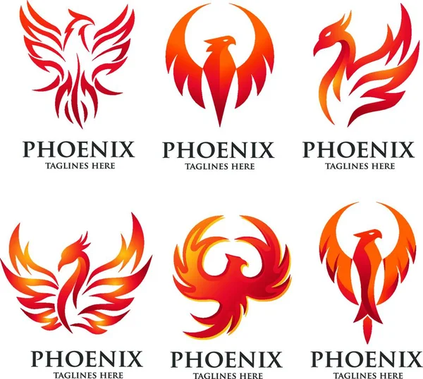 Luxury Phoenix Logo Concept Best Phoenix Bird Logo Design Phoenix — Stock Vector