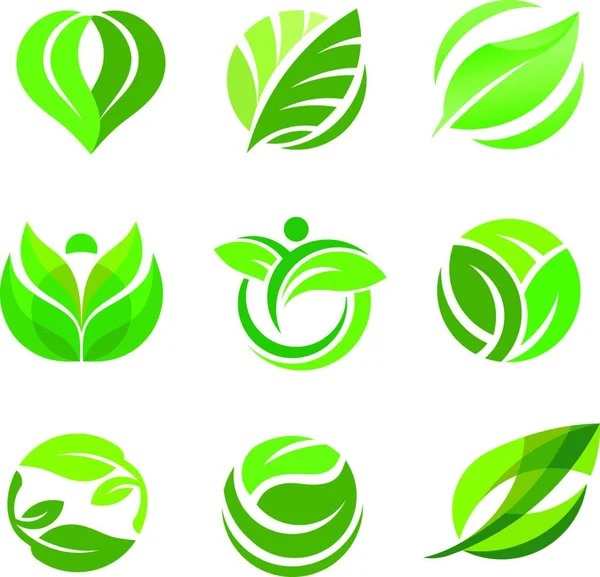 Sağlıklı Element Vektör Logosu Konsepti Için Yeşil Yaprak Ekolojisi Tasarımı — Stok Vektör