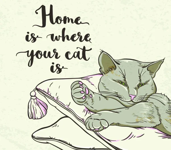 ベクトル背景と猫の睡眠枕とレタリング — ストックベクタ
