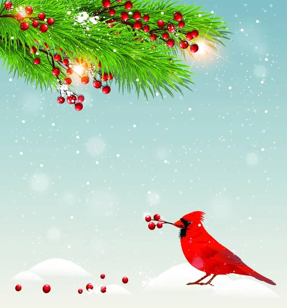 Winter Landscape Cardinal Bird Snow Green Fir Branches Red Berries — Stock Vector
