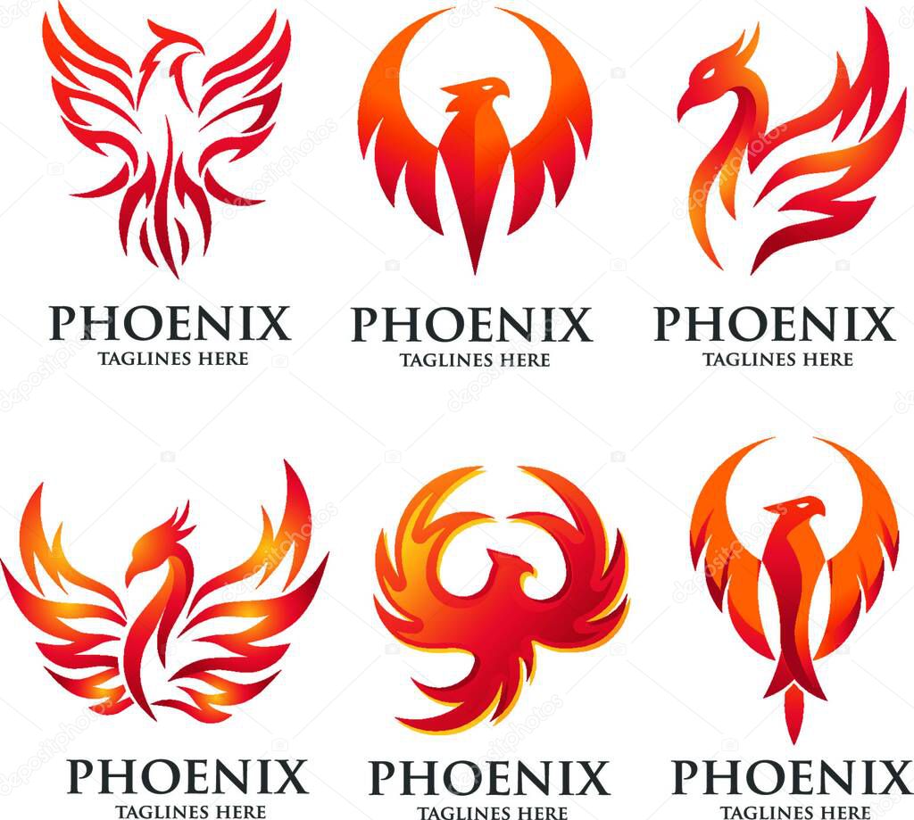 Luxury phoenix logo concept, best phoenix bird logo design, phoenix vector logo,creative logo of mythological bird , a unique bird , a flame born from ashes