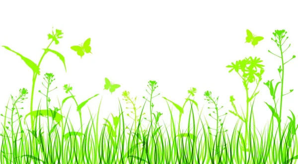 Sfondo Floreale Verde Con Sagome Fiori Erba — Vettoriale Stock