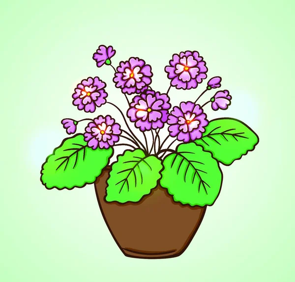 Floraison Fleurs Roses Dans Pot Fleurs Sur Fond Vert Illustration — Image vectorielle