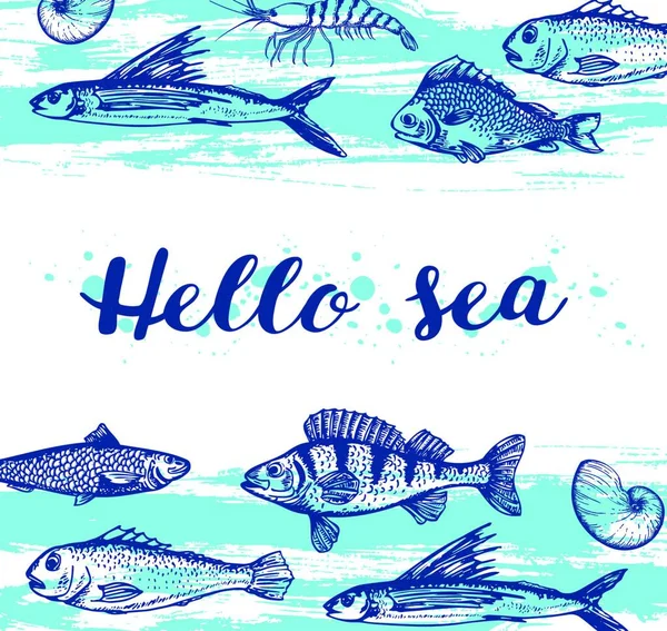 Blue Marine Vector Vintage Background Shrimp Fish Hello Sea Lettering — Stock Vector