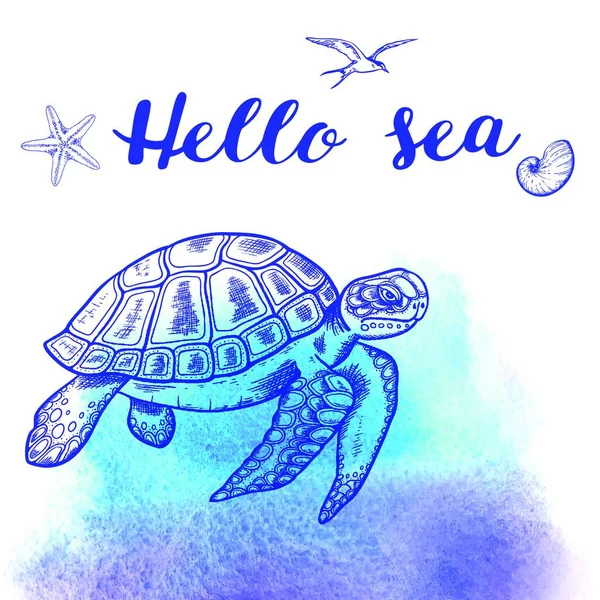 青い水彩の背景に海亀を描いたベクトル手 こんにちは海のレタリング — ストックベクタ