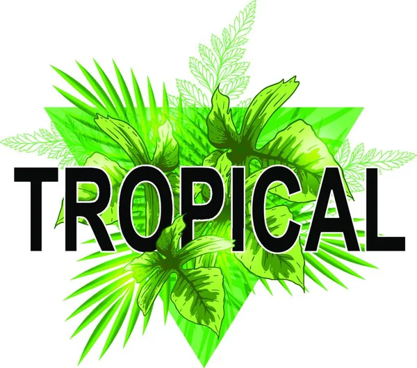 Zelený Trojúhelník Palmovými Listy Abstraktní Tropické Letní Pozadí — Stockový vektor