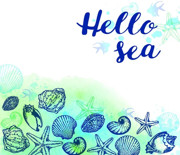 手描きの貝殻や青い水彩の質感と海の背景 こんにちは海のレタリング — ストックベクタ