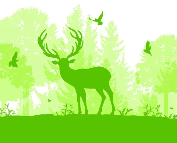 Zelená Přírodní Krajina Jeleny Stromy Ptáky Vektorová Ilustrace — Stockový vektor