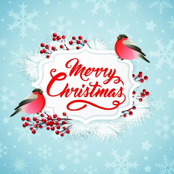 Vector Christmas Banner Two Bullfinches Greeting Inscription Merry Christmas Lettering — Stock Vector