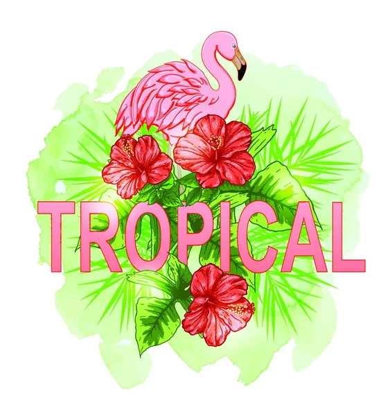 Letní Tropické Pozadí Červenými Květy Růžovým Plameňákem Ručně Kreslené Vektorové — Stockový vektor