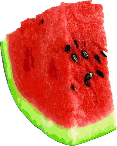 Reife Wassermelone Scheiben Geschnitten Isoliert Auf Weißem Hintergrund Vektorillustration — Stockvektor