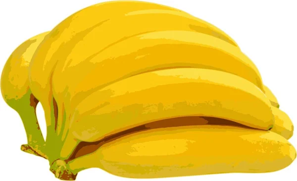 Ein Bündel Bananen Isoliert Auf Weißem Hintergrund Vektorillustration — Stockvektor