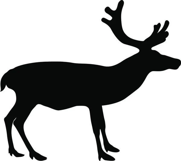 Cerf Silhouette Avec Grand Bois Sur Fond Blanc Illustration Vectorielle — Image vectorielle