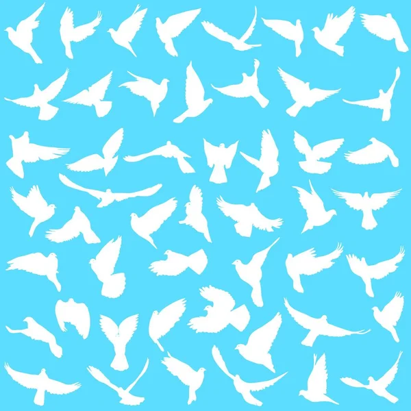 Concept Love Peace Set Silhouettes Doves Vector Illustration Concept Love — Stock Vector